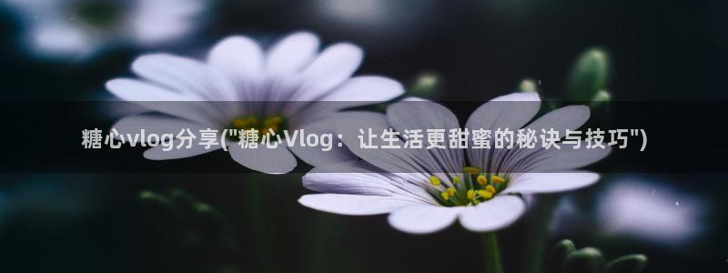 糖心vlog井川里予：糖心vlog分享(\