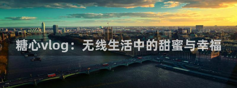 糖心vlog 在线观看：糖心vlog：无线生活中的甜蜜与幸福