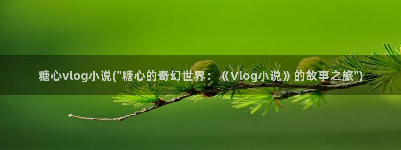 糖心vlog红豆：糖心vlog小说(\