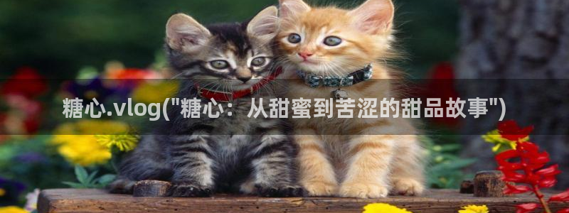 糖心vlog圣诞节：糖心.vlog(\