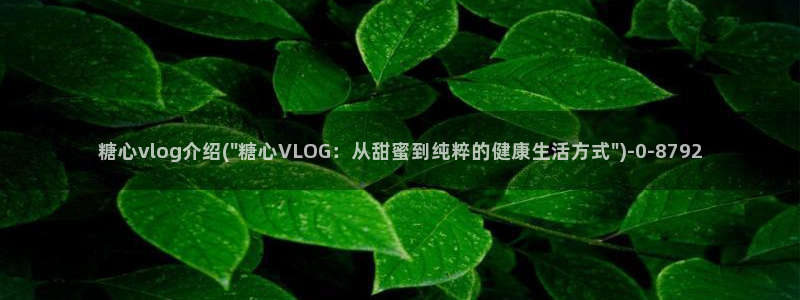 糖心日vlog：糖心vlog介绍(\