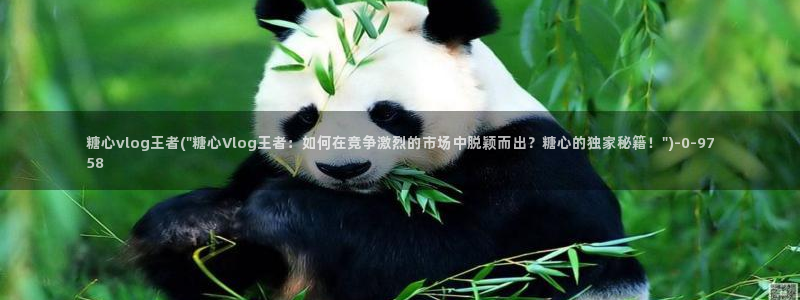 糖心vlog素人：糖心vlog王者(\