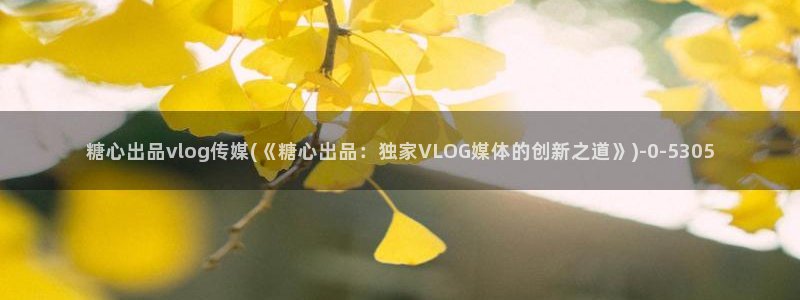  糖vlog原创：糖心出品vlog传媒(《糖心出品：独家VLO